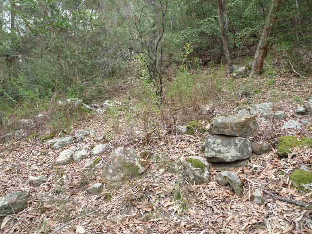 Evidence of house foundations at Sackville Reach Aboriginal Reserve